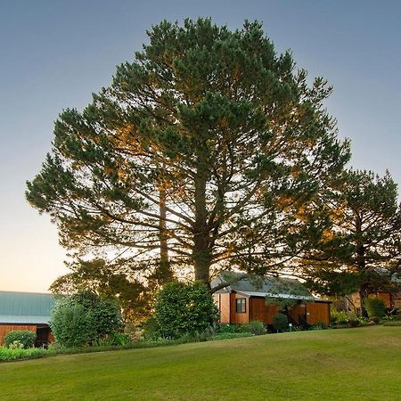 Arendsrus Country Resort Molen Drift Buitenkant foto