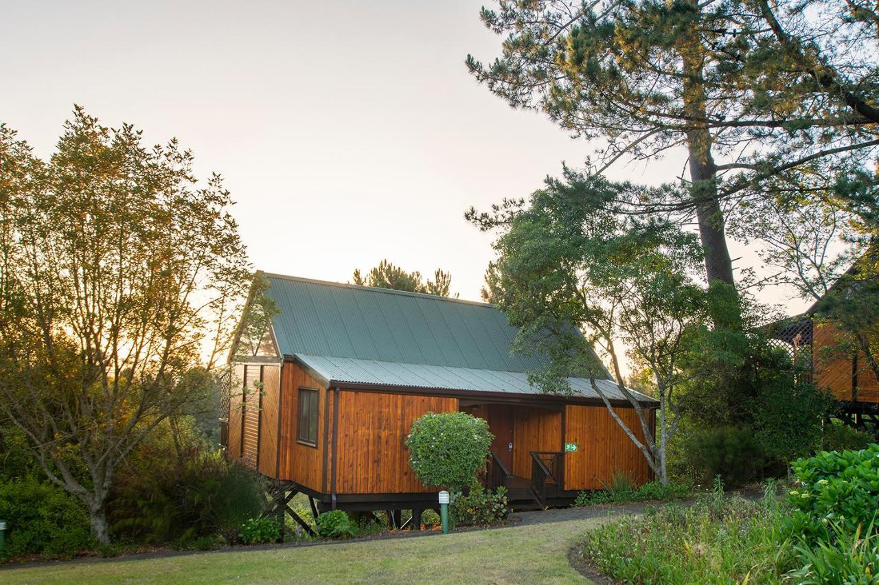 Arendsrus Country Resort Molen Drift Buitenkant foto