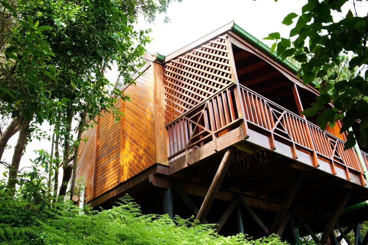 Arendsrus Country Resort Molen Drift Buitenkant foto