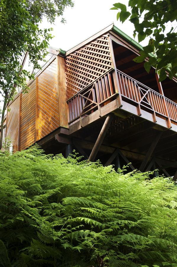 Arendsrus Country Resort Molen Drift Buitenkant foto